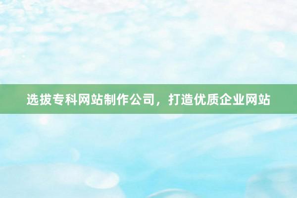 选拔专科网站制作公司，打造优质企业网站