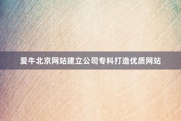 爱牛北京网站建立公司专科打造优质网站