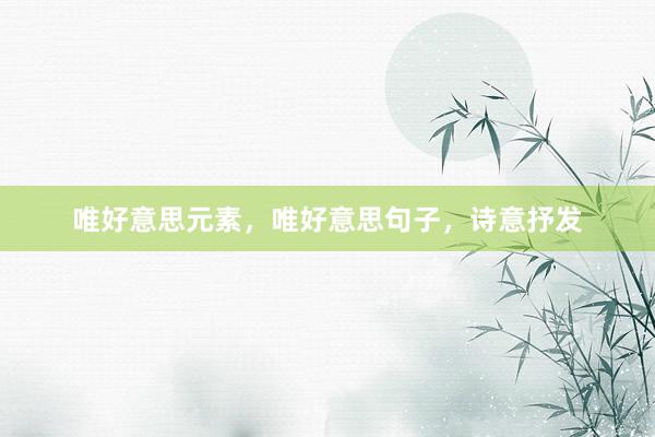 唯好意思元素，唯好意思句子，诗意抒发