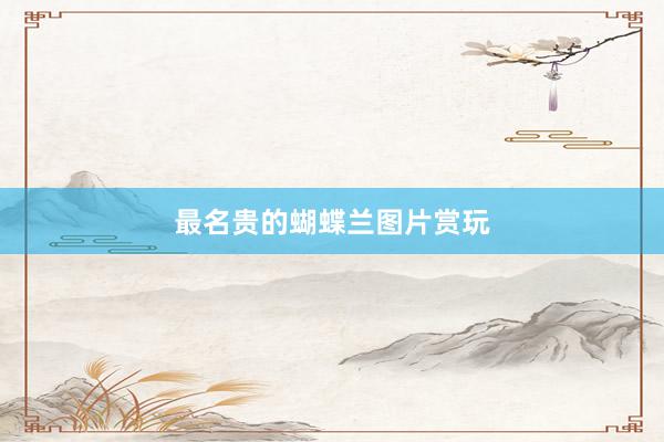 最名贵的蝴蝶兰图片赏玩