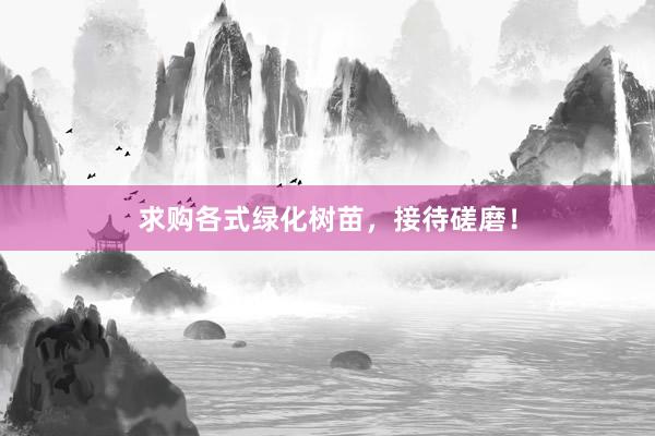 求购各式绿化树苗，接待磋磨！