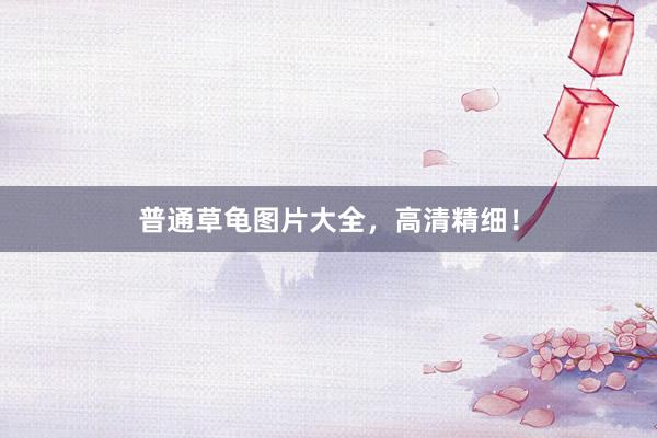 普通草龟图片大全，高清精细！